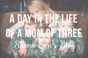 Shann Eva's Blog A Day in the Life of a Mom of Three