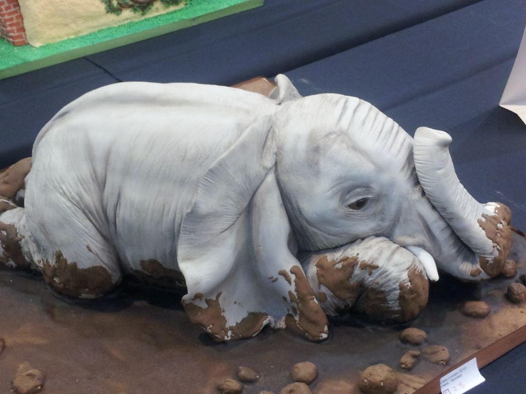 20120428_105055.jpg