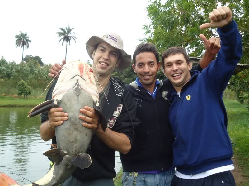 Imagem Postada