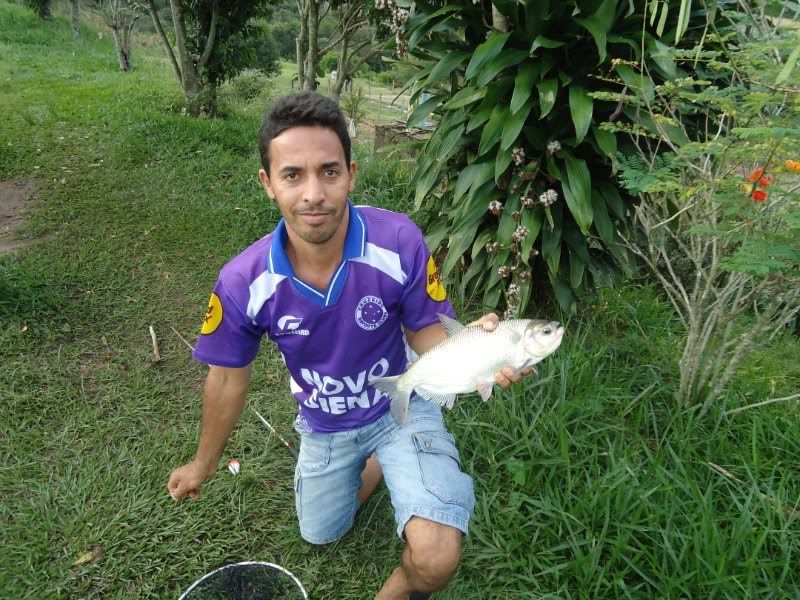 Imagem Postada