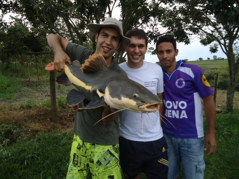 Imagem Postada