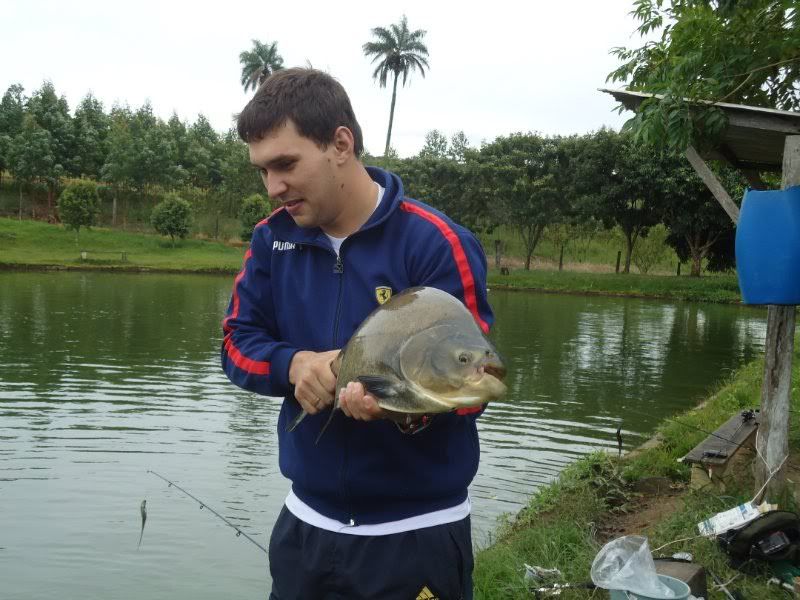 Imagem Postada