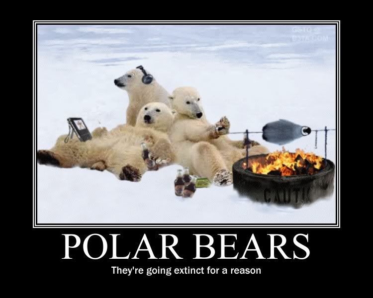 polarbears.jpg