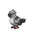 th_Pidgey-Pidove.png