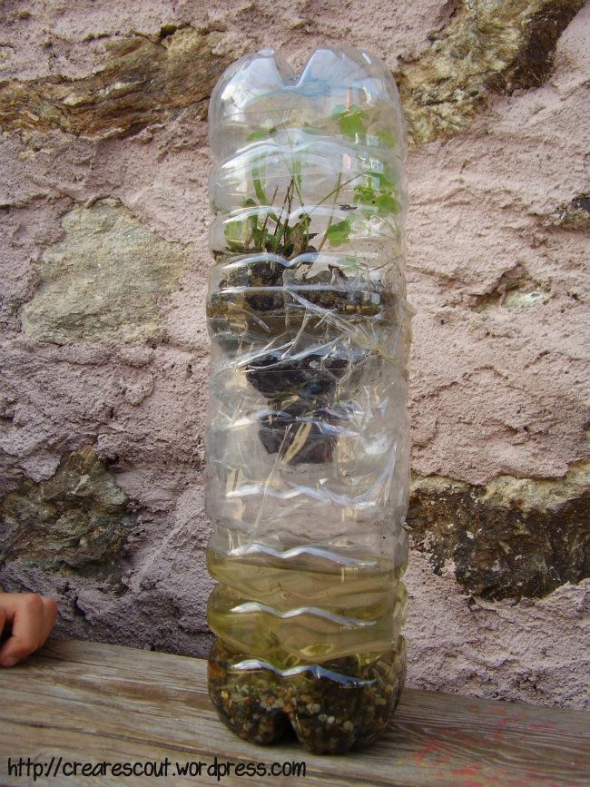 ecosistema