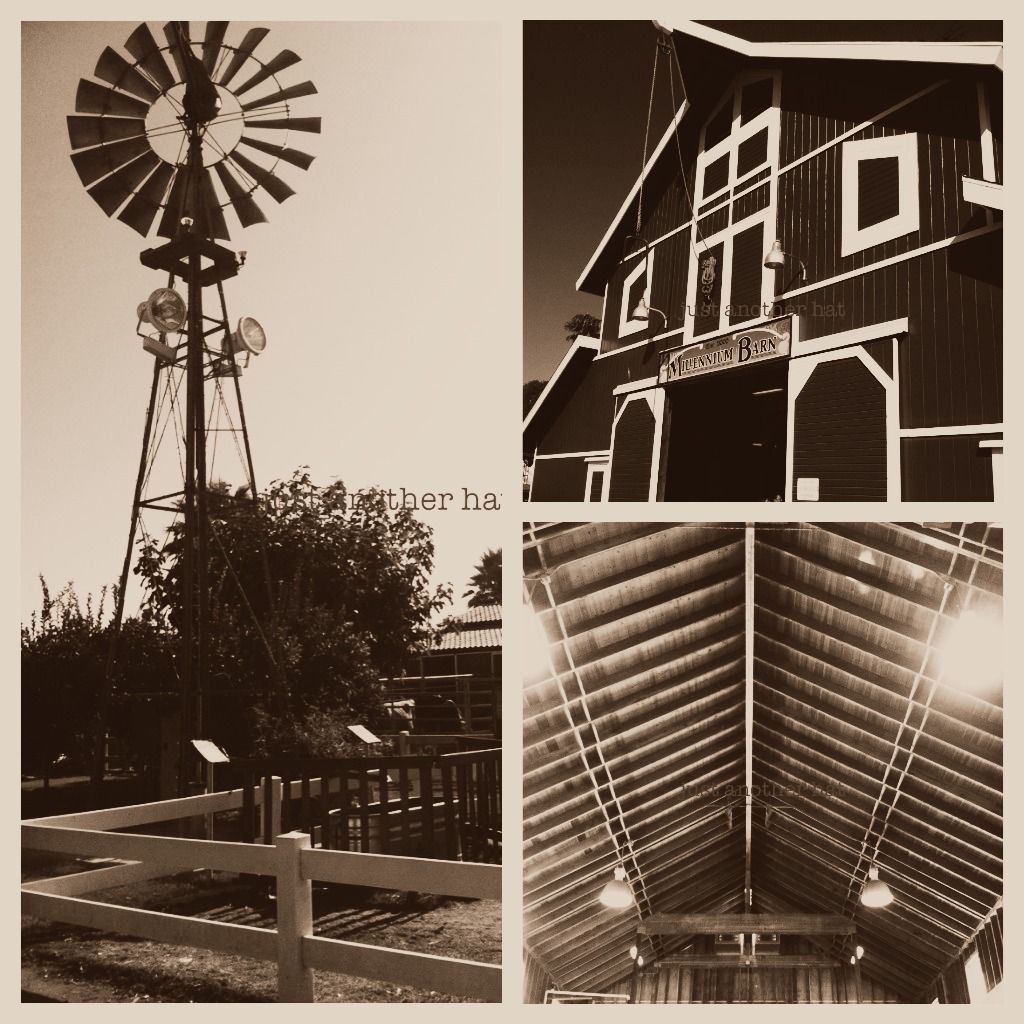 centennial farm windmill and millenium barn