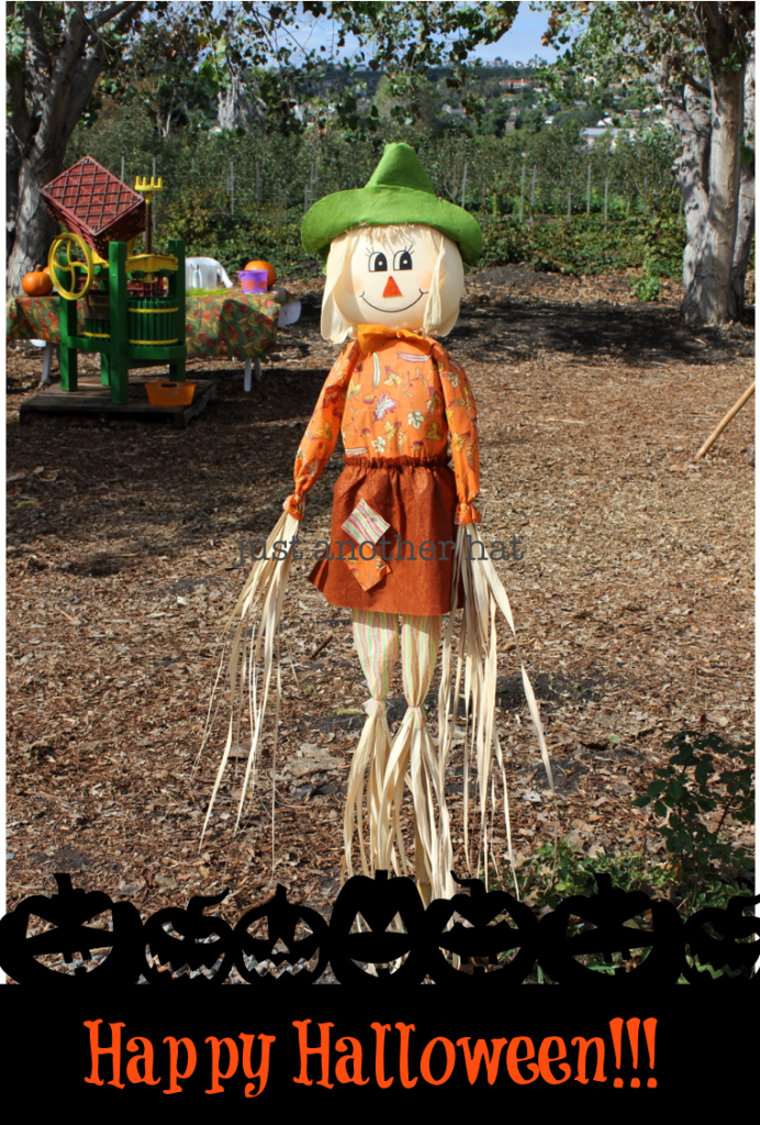 organic farm pumpkin patch scarecrow