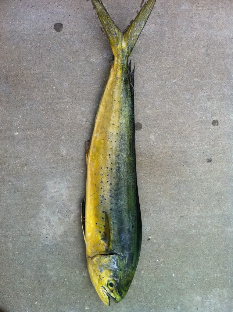 Questions for Minister David EstwickQuestions for Minister David