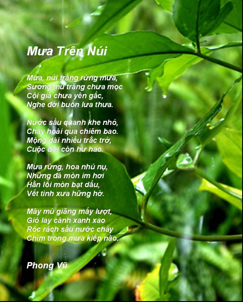 Mưa Trên Núi