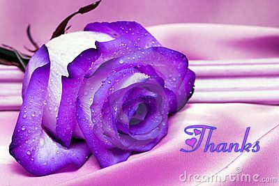  photo higravenh1EA3nhhoah1ED3ngtiacutem11101EB9pnh1EA5t19_zpsaf922912.jpg