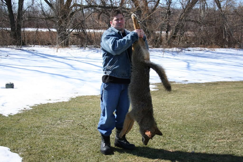 hugecoyote_zpsc8029e6a.jpg