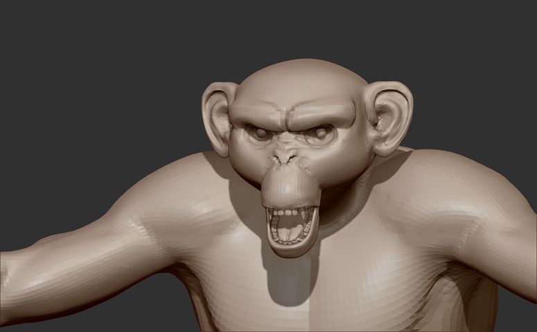 monkeyface.jpg