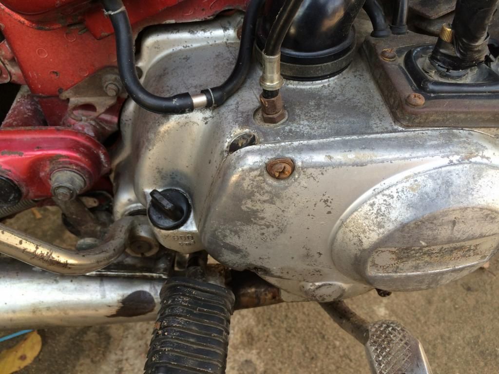 yamaha ib 100 giá tốt - 12