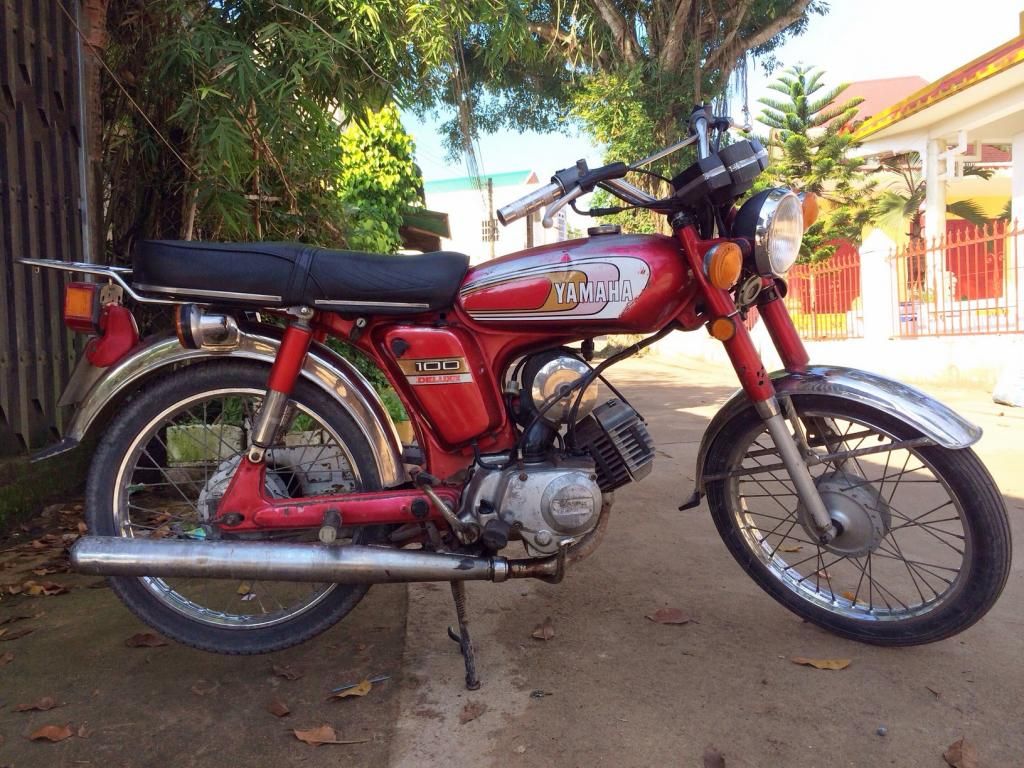yamaha ib 100 giá tốt - 1