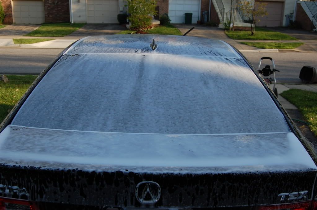 DSC_0017.jpg
