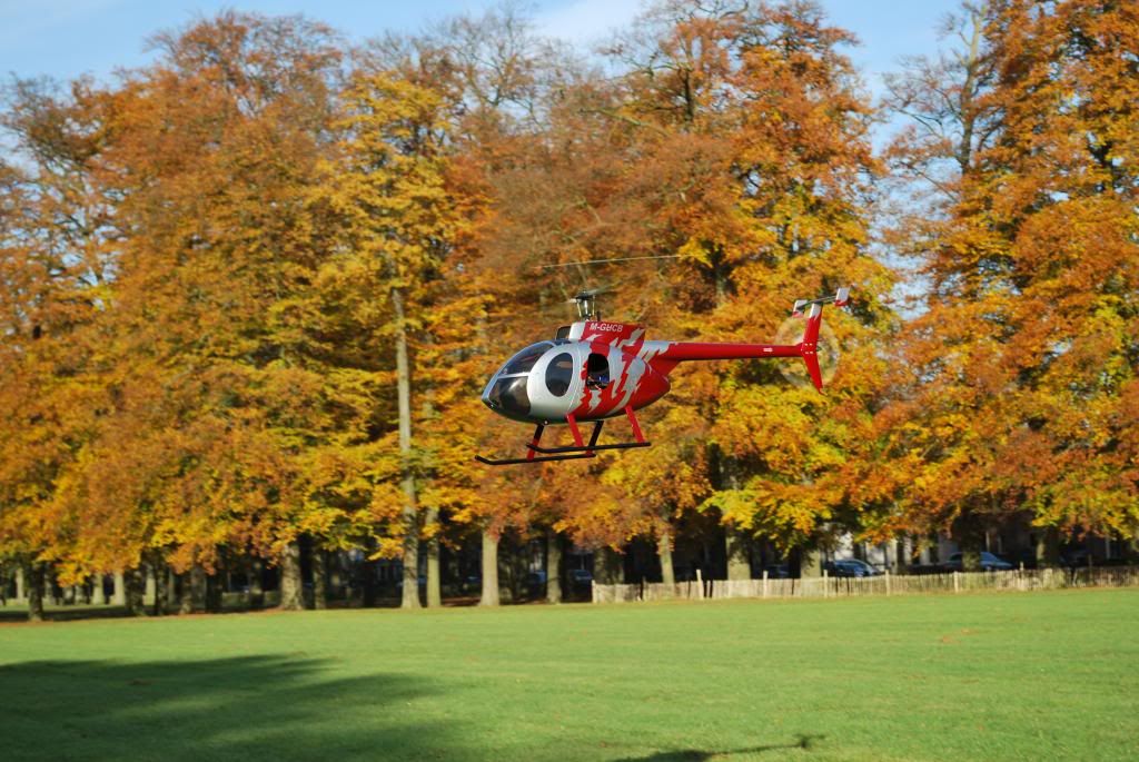 DSC_0085_zps1cfe7785.jpg