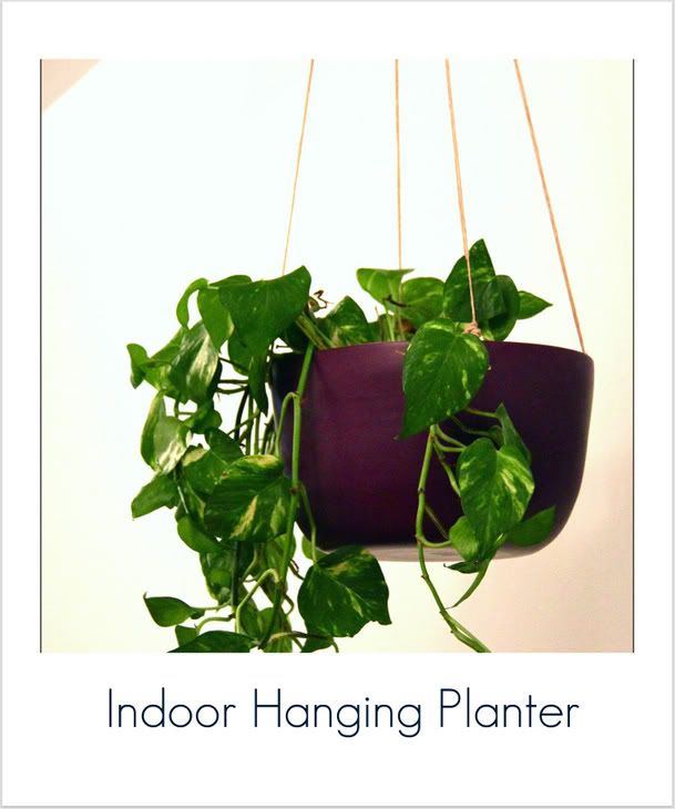 DIY indoor hanging planter