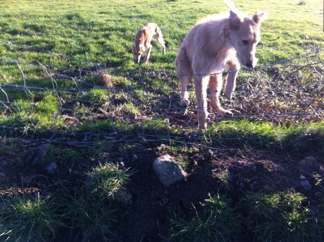 175979C3-78EC-4240-95E3-62054BC68931-163