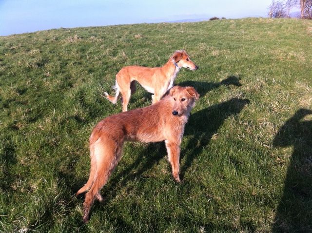 3C2DB06D-147E-44F5-AF69-9D32835C2DF5-163