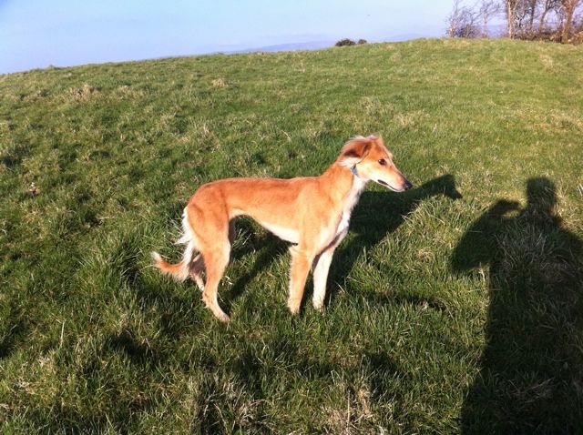 64F19DFB-E840-4245-B2C2-CE9A1F90CE32-163