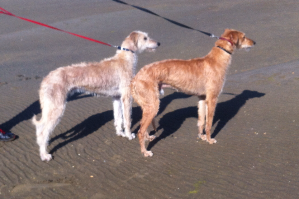 724A76D8-90D5-4E1C-930B-A817AEA640EB_zps