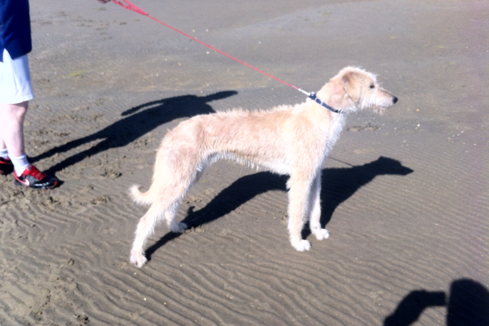 7F82FE47-C0AC-4350-9B5B-A6EA832B5CCE_zps