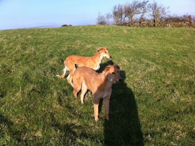 9E0FE3B2-AAB0-4443-B03C-C0BD05175454-163