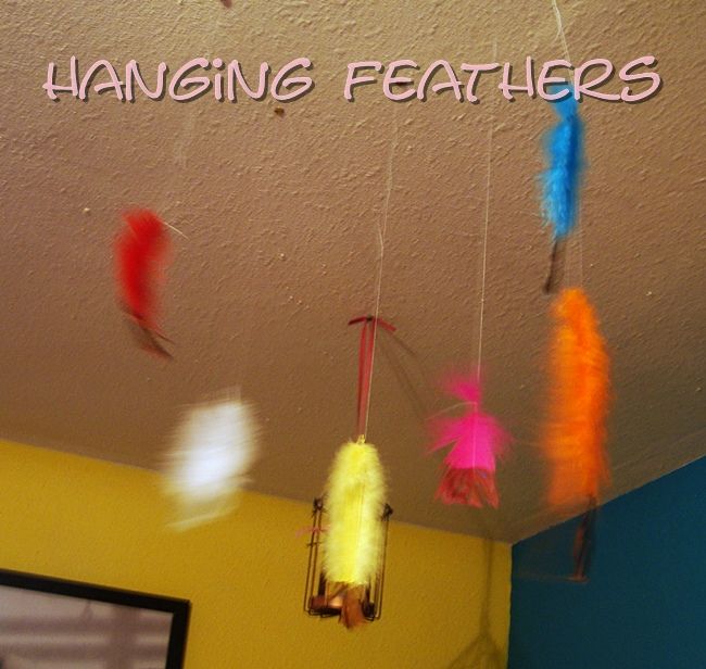 hanging feathers