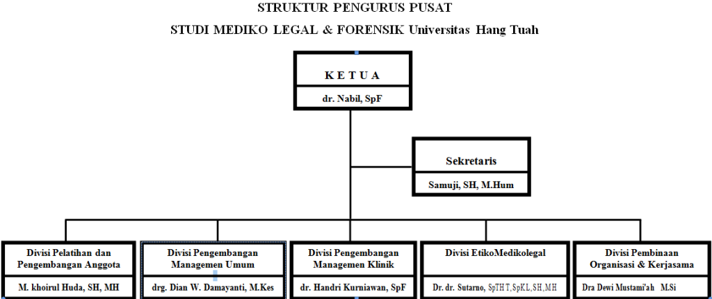 struktur medicolegal medicolegal