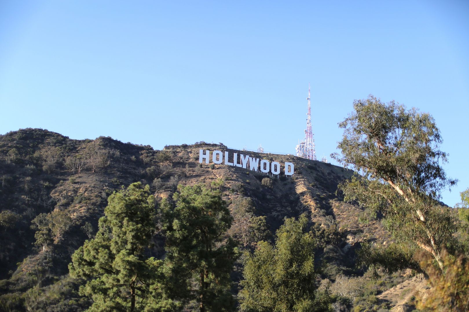  photo hollywood hills 11_zpszzuvx4nd.jpg