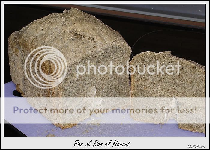 DSCN4684.jpg